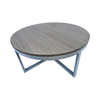Platinum Frame Coffee Table